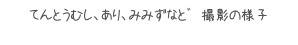 てんとうむし、あり、みみずなと?撮影の様子