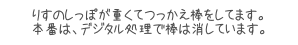 りすのしっぽが重くてつっかえ棒をしてます。
本番は、デジタル処理で棒は消しています。